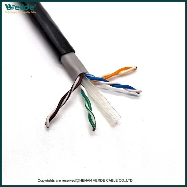 Мережевий кабель UTP Cat6
