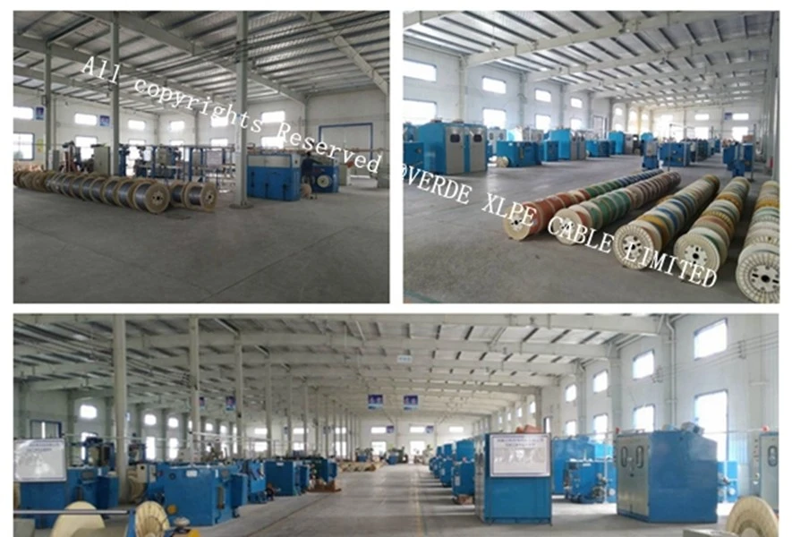 product-885-600 product-885-600